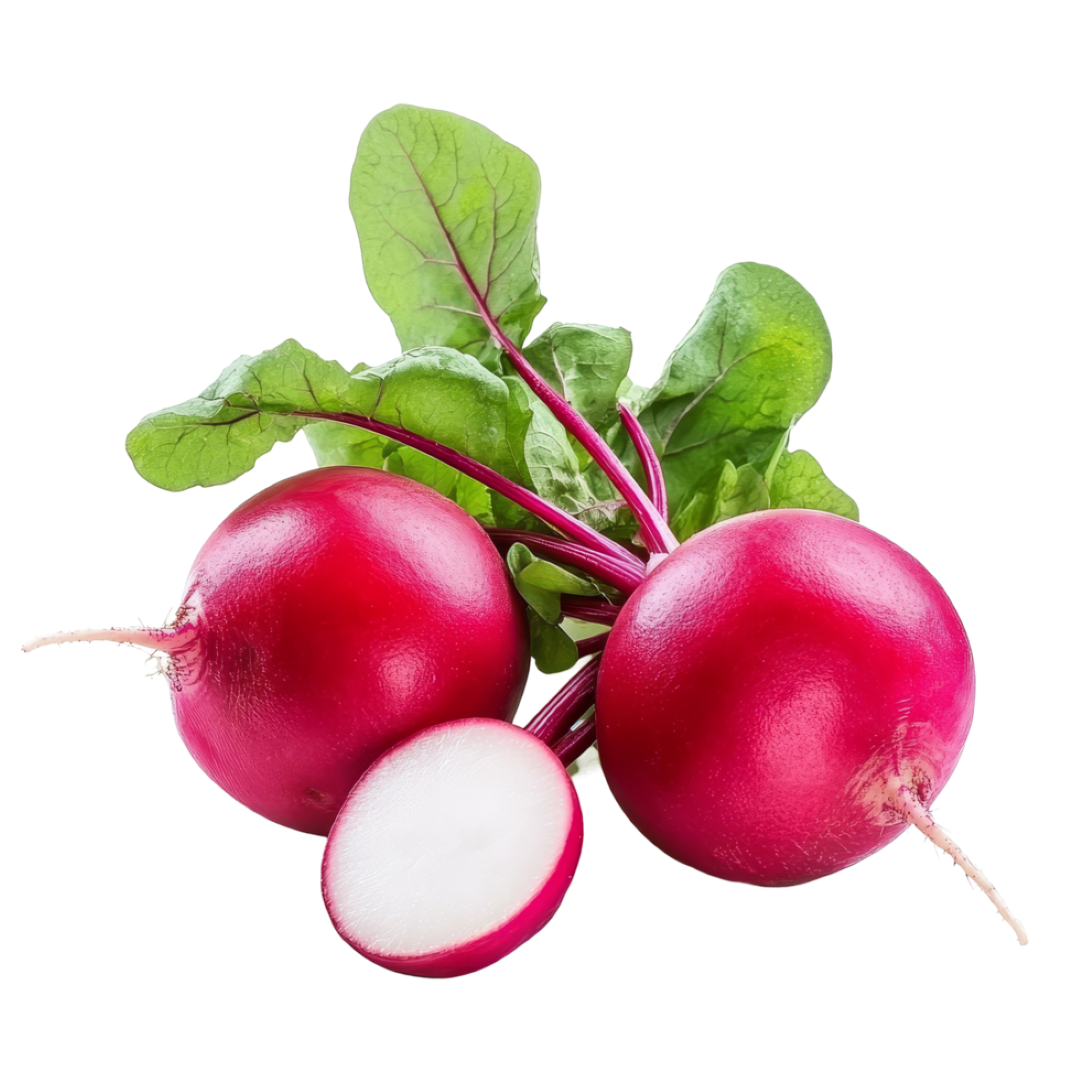 FRESH RED RADDISH SHOOT